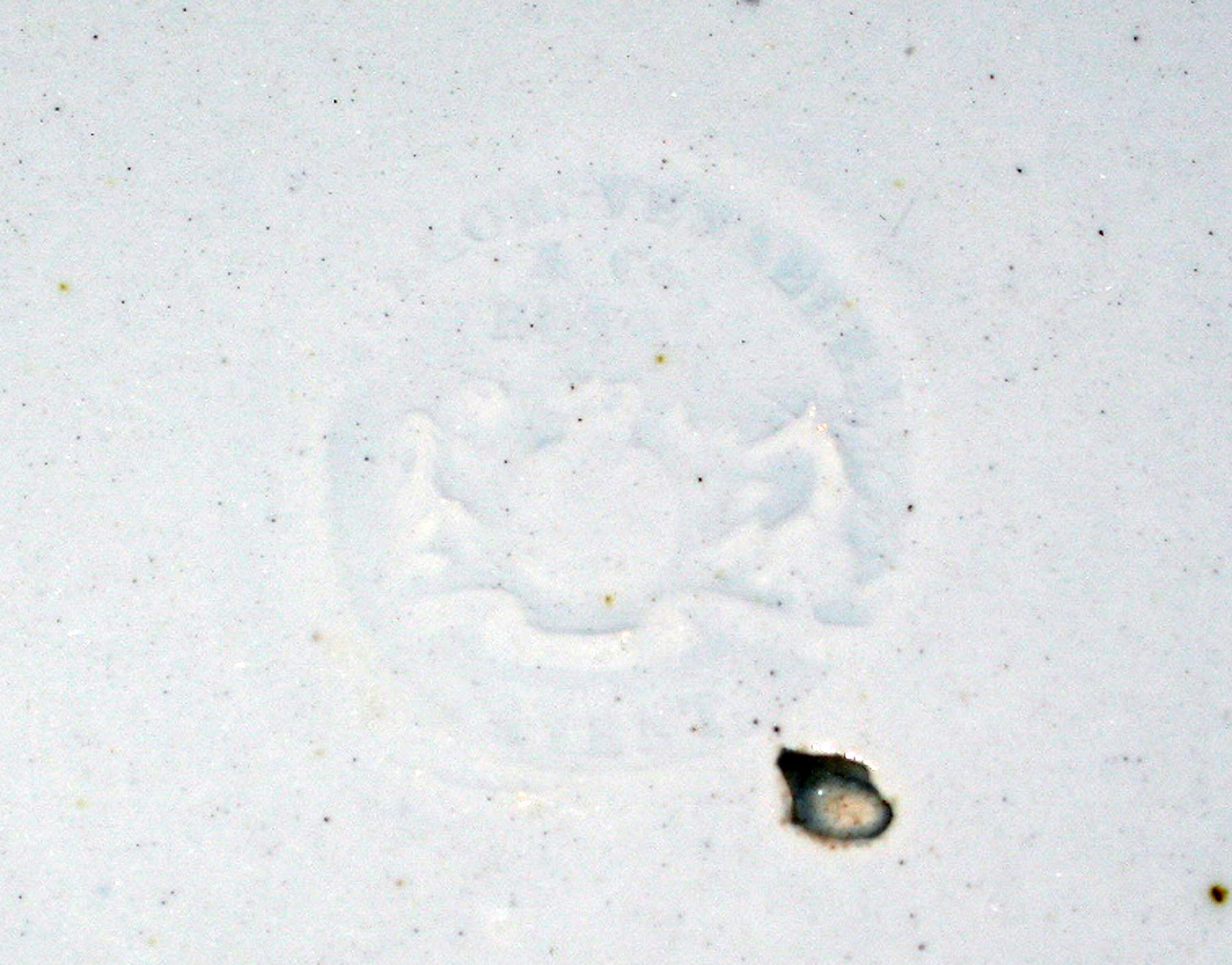 1969.0331.002 Mellor & Venables pearlware plate (detail)