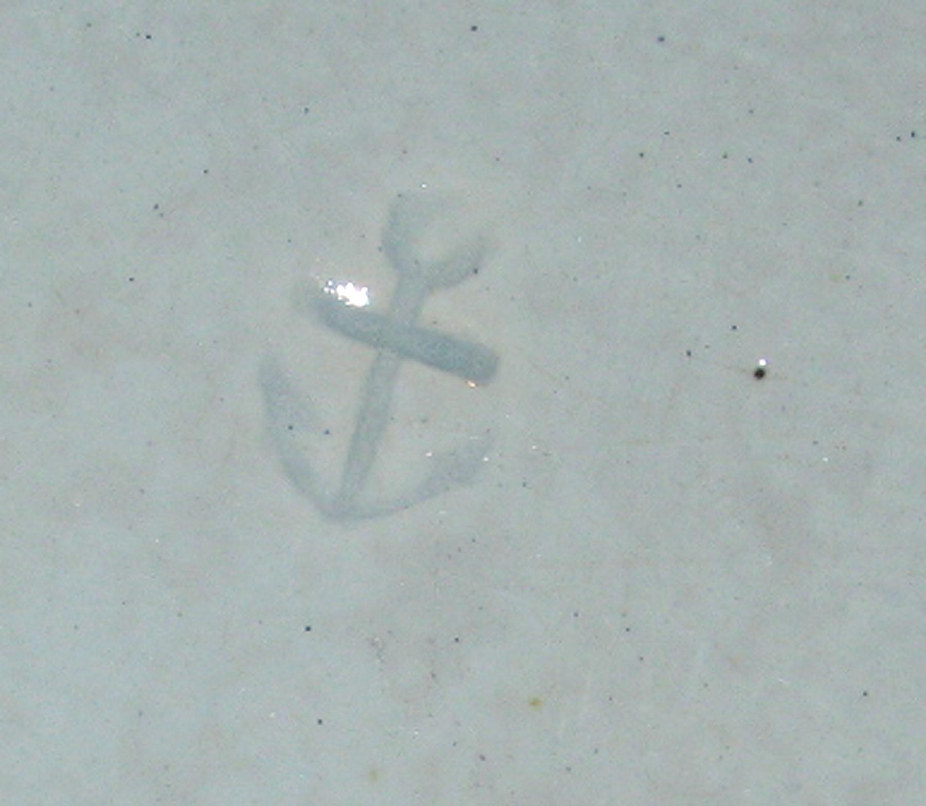 1969.0333.001 Davenport pearlware plate (detail)