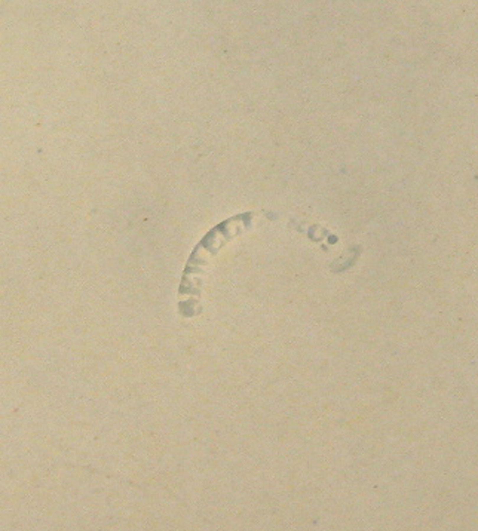 1969.0334.001 Pearlware plate (detail)