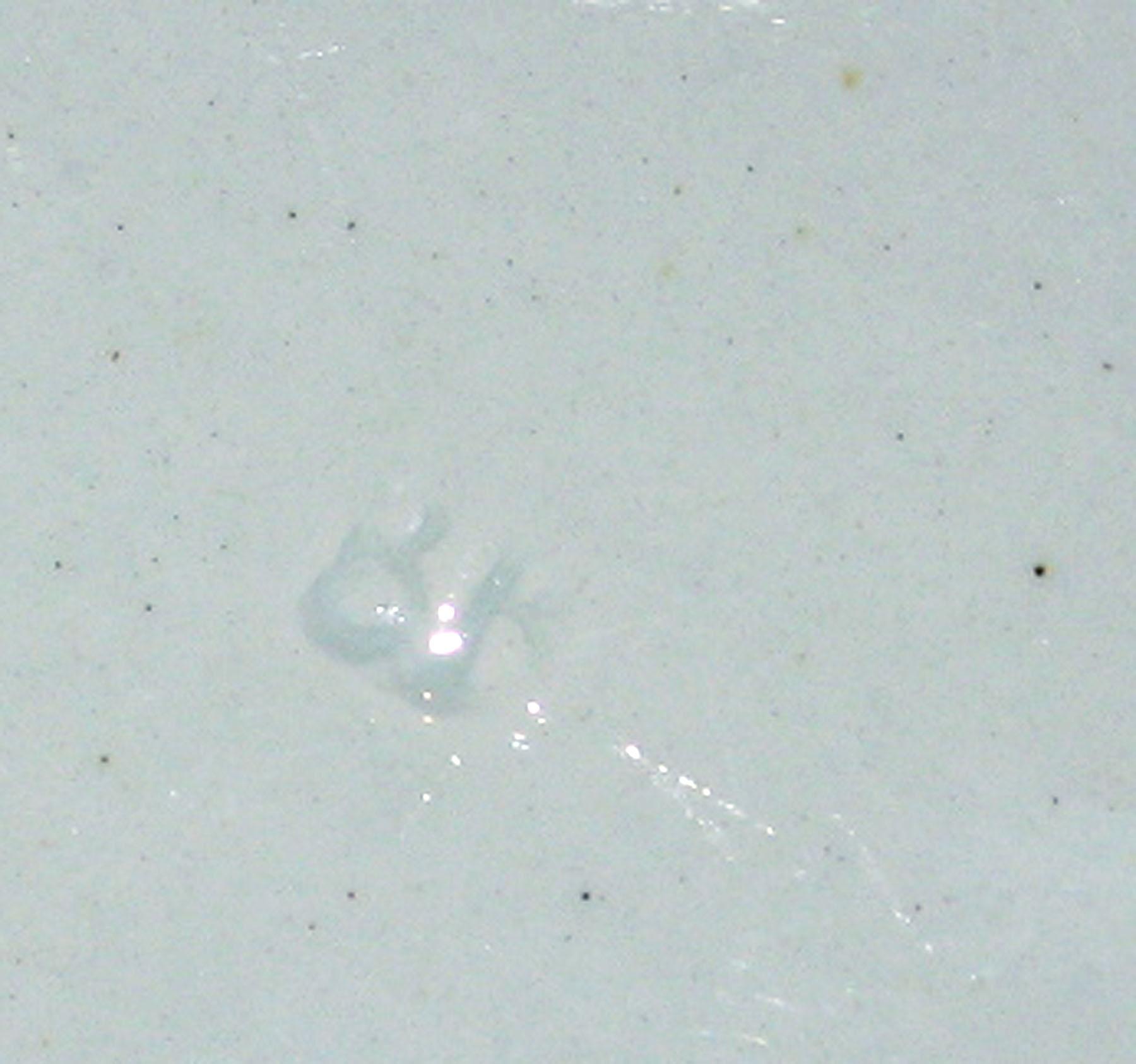 1969.0339.002 Pearlware soup plate (detail)
