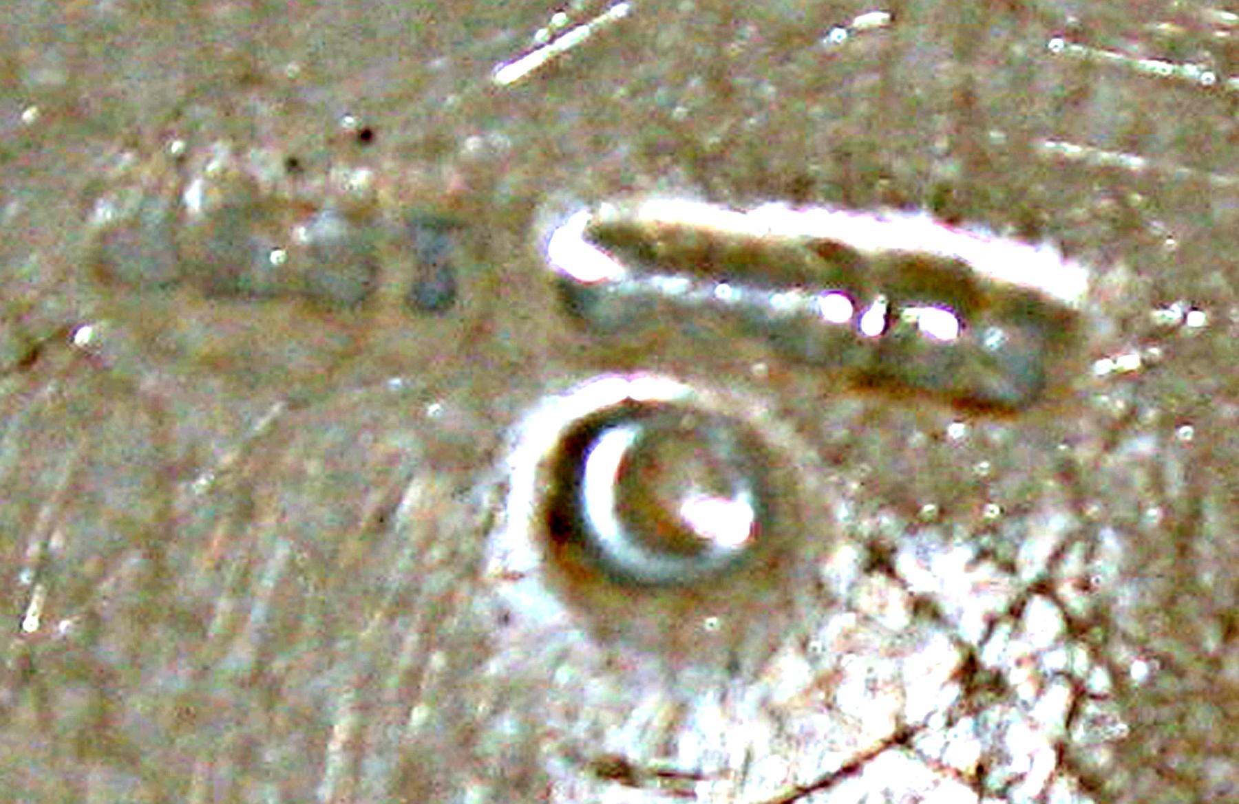 1969.0353.001 Dish (Best Goods mark)