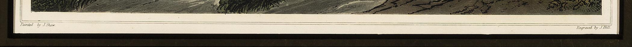 1969.0413.007 A Print, detail 1
