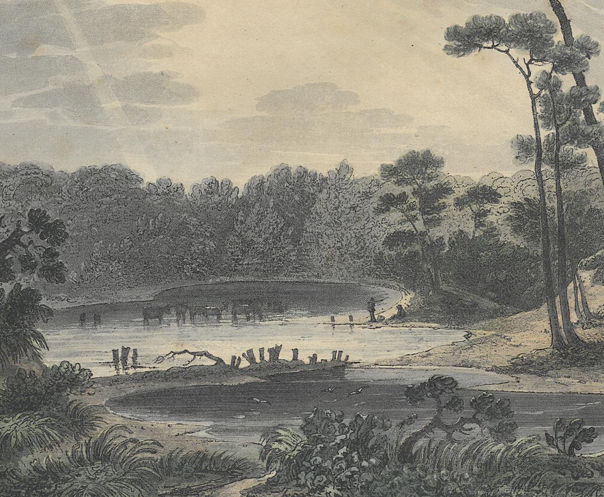 1969.0413.010 A Print, Detail 2