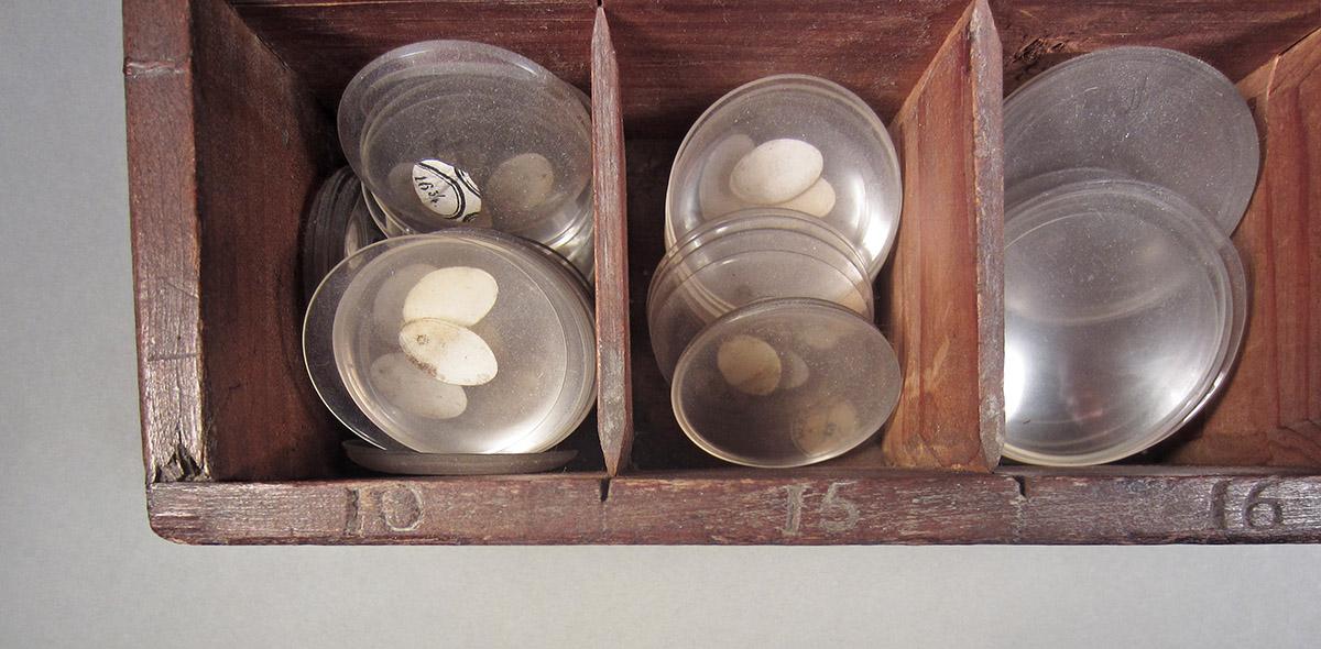 1957.0026.606, Box of watch crystals, numbers detail