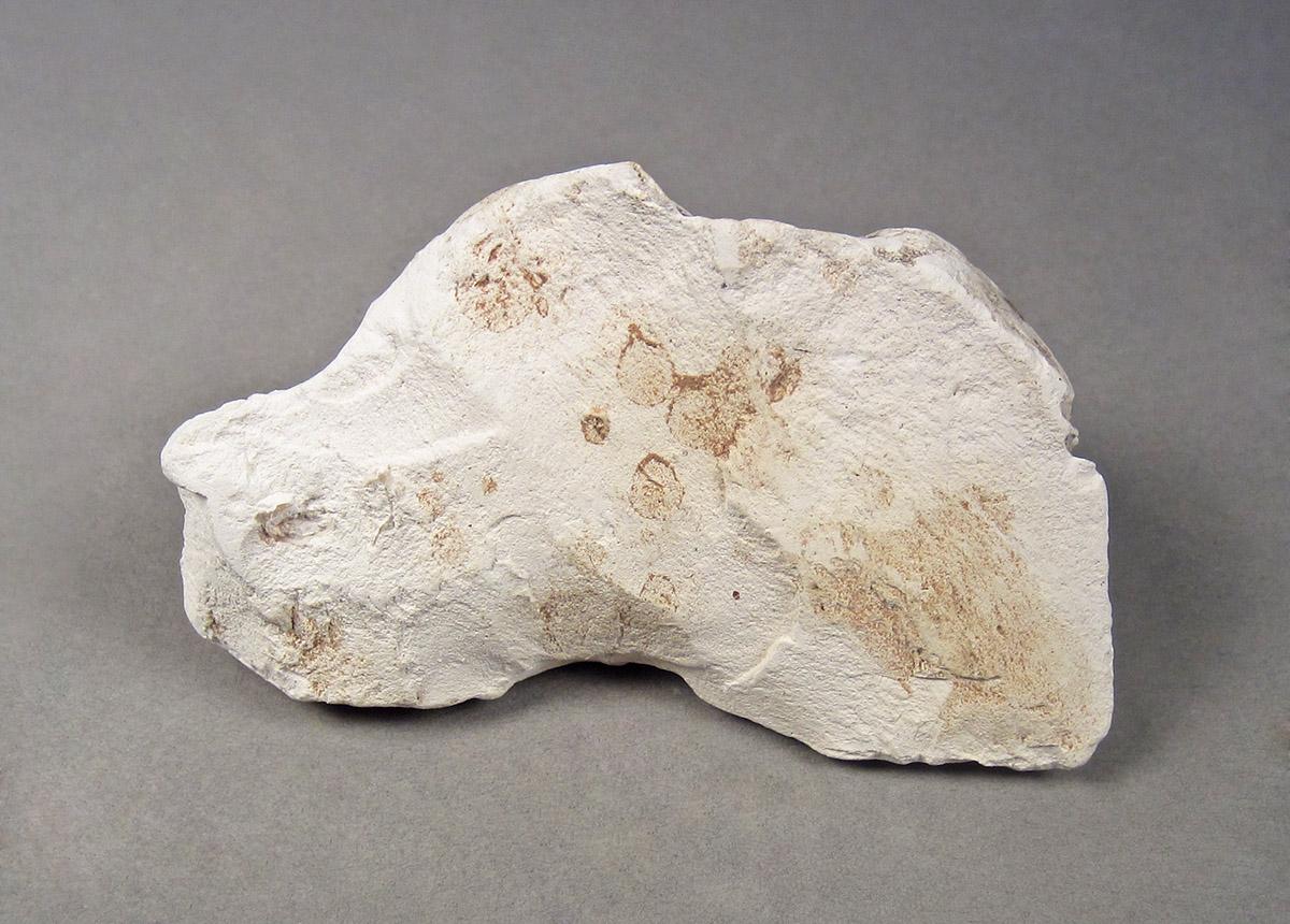 1957.0026.620, Marking chalk, side 2
