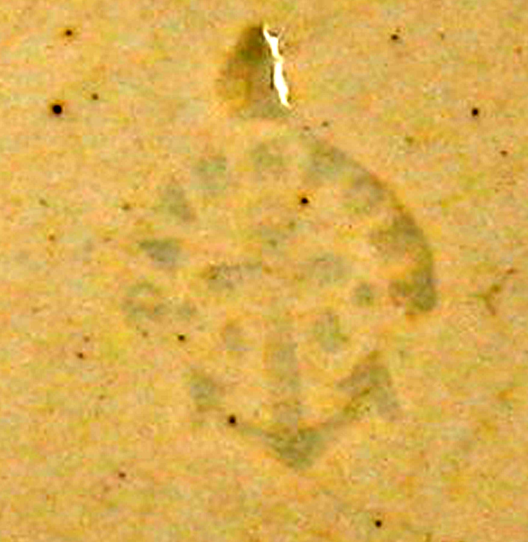 1969.0786.002 Dish (davenport mark)