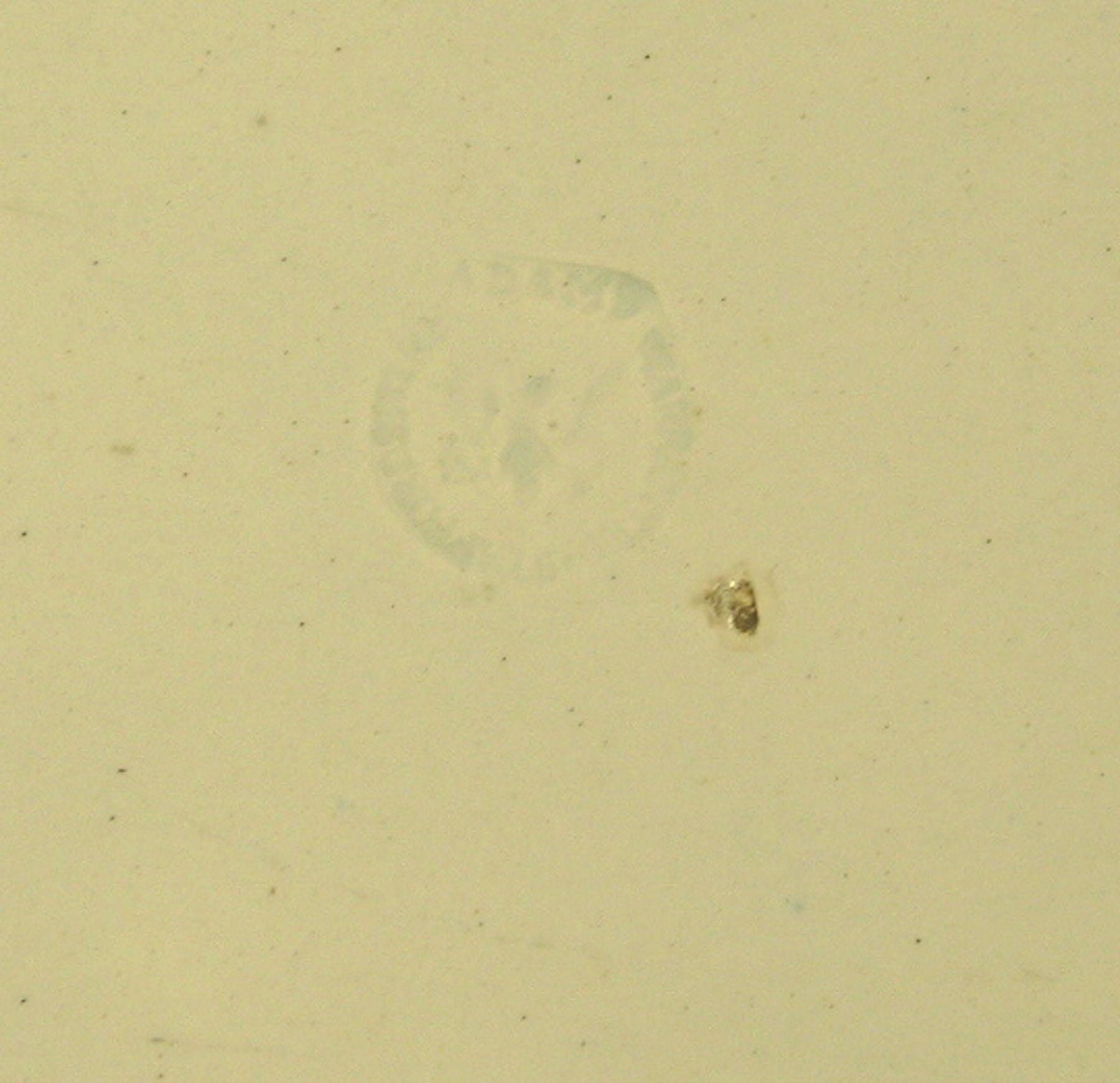 1969.0787 Adams pearlware dish (detail)