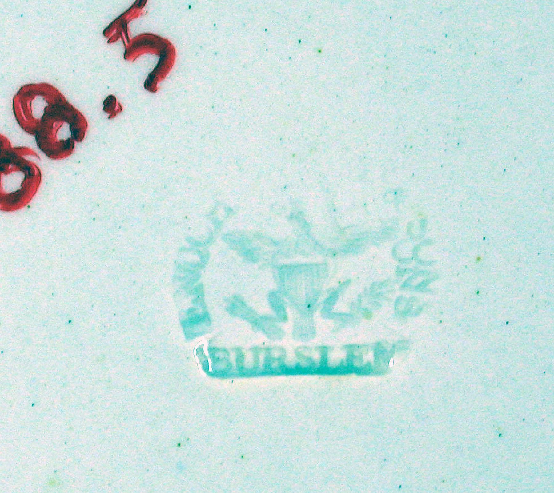 1969.0788.005 Pearlware soup plate (detail)