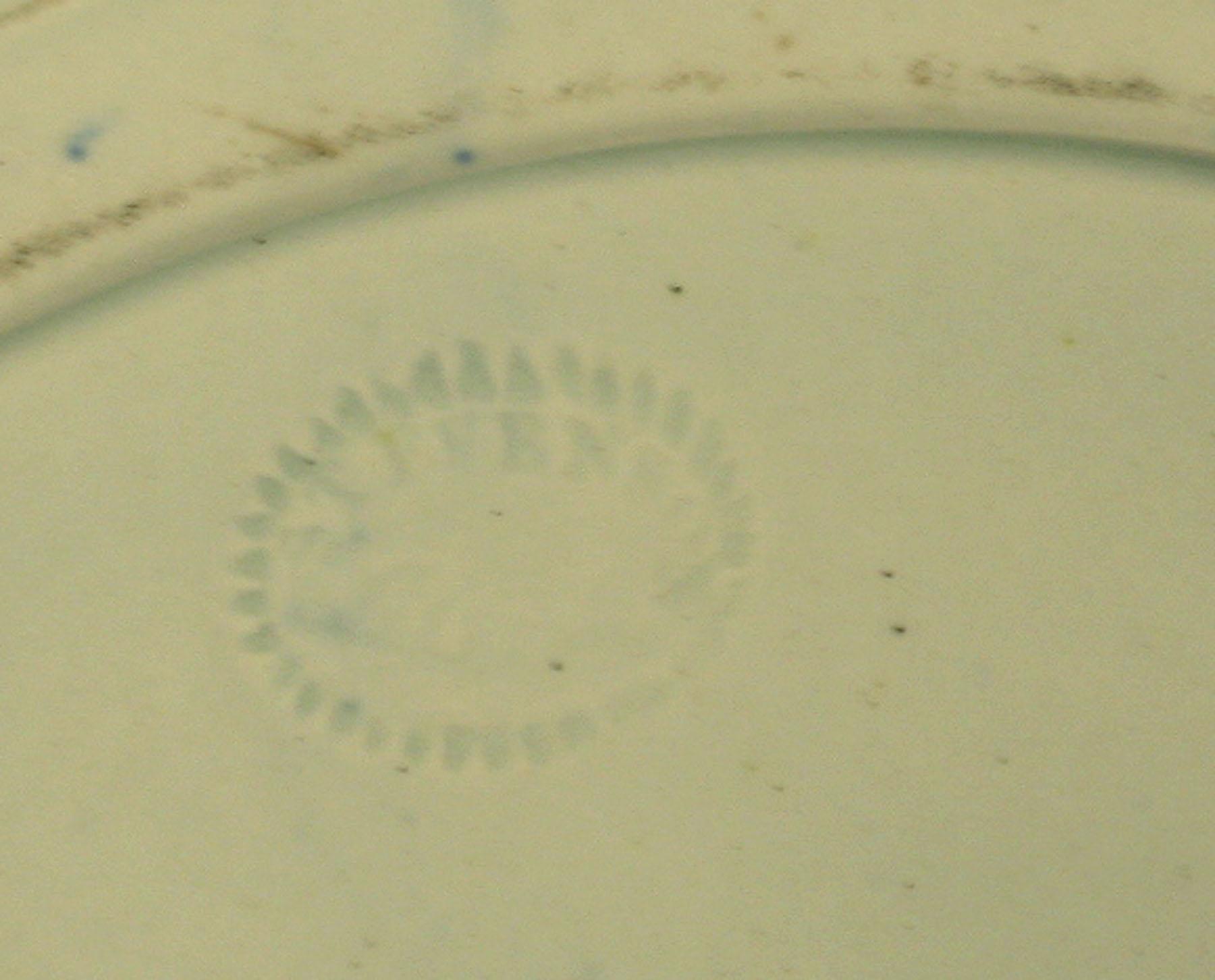 1969.0795 Stevenson pearlware plate (detail)