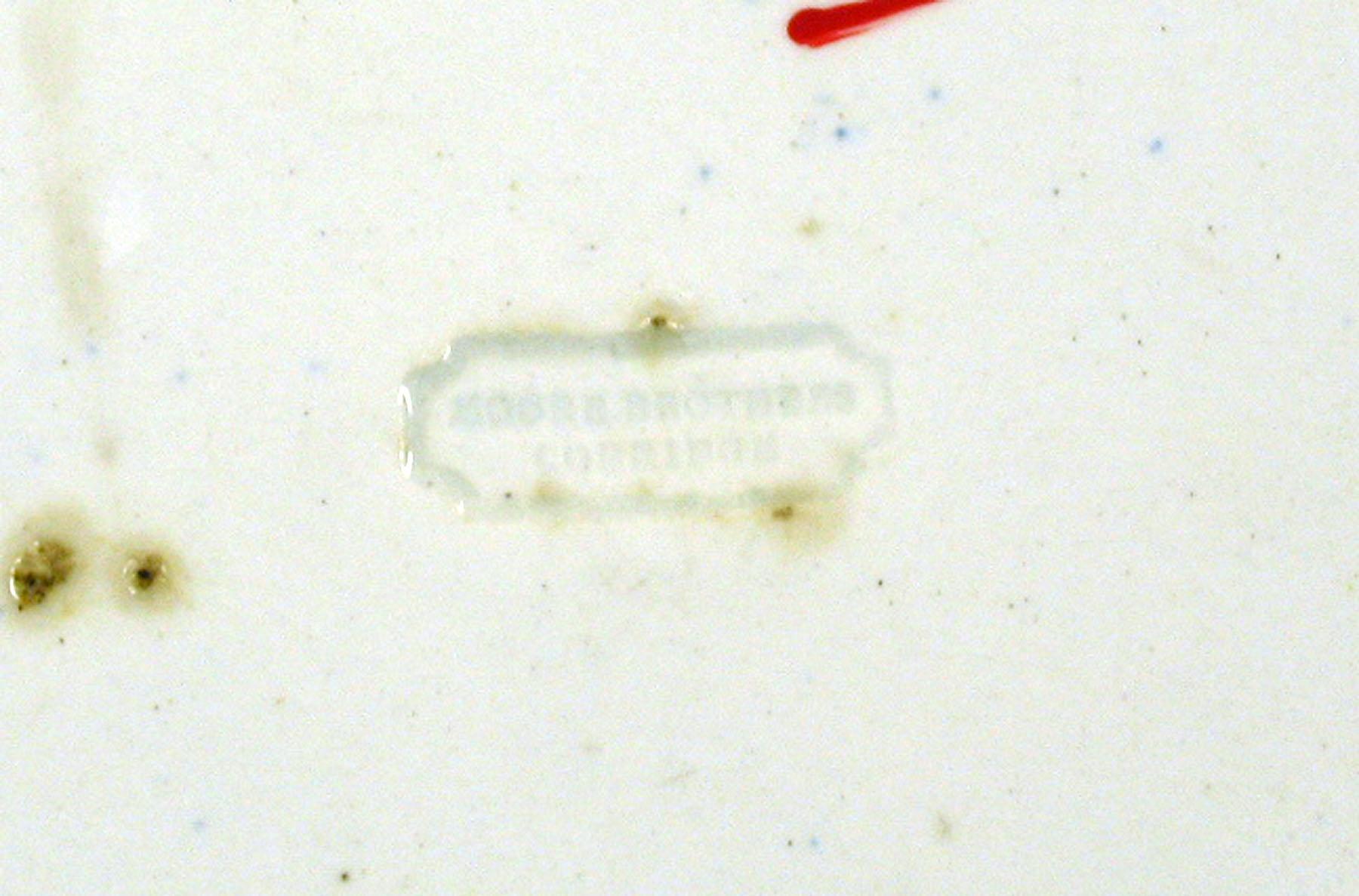 1969.0799.001 Moore Brothers Pearlware Plate (detail)
