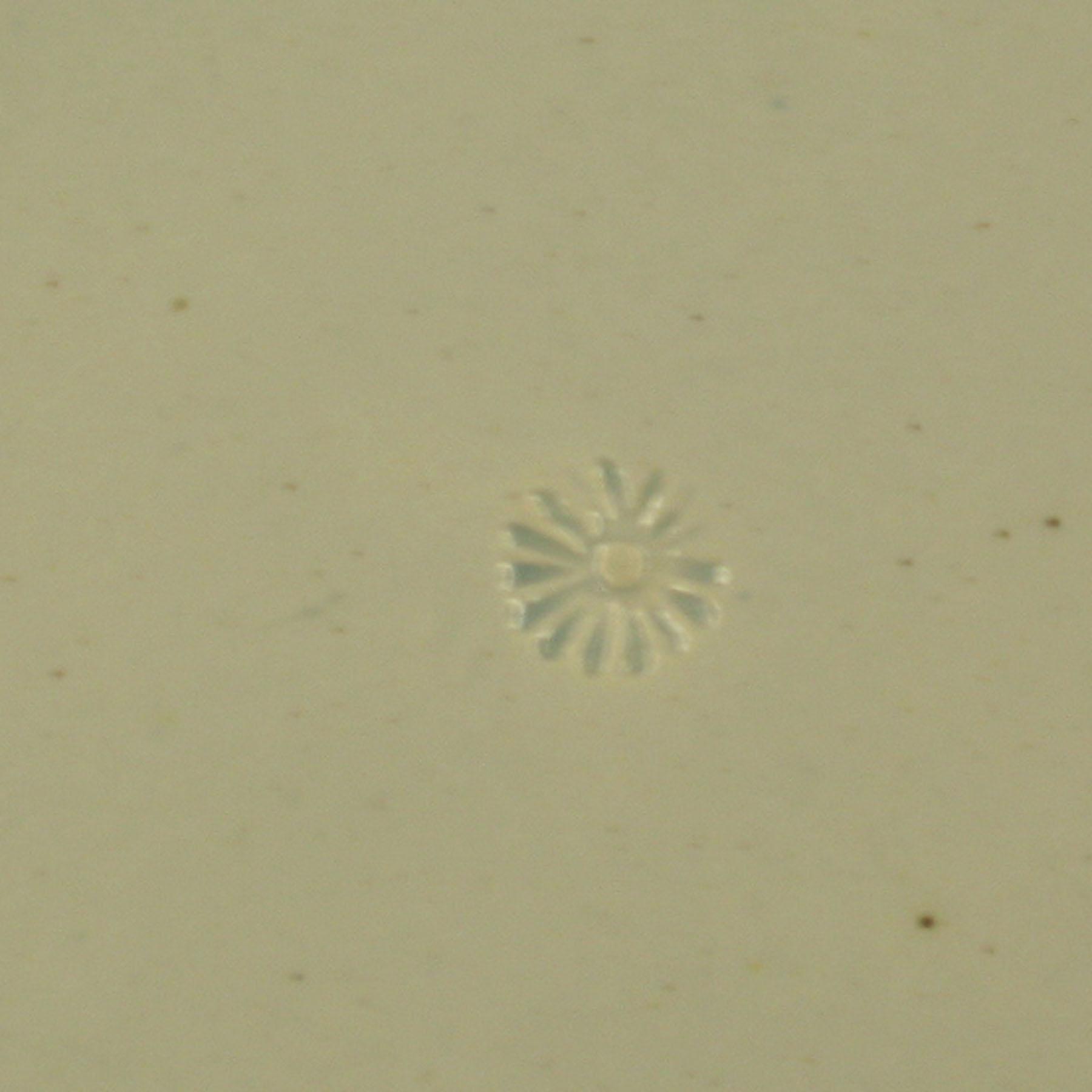 1969.0802.001 Pearlware plate (mark)
