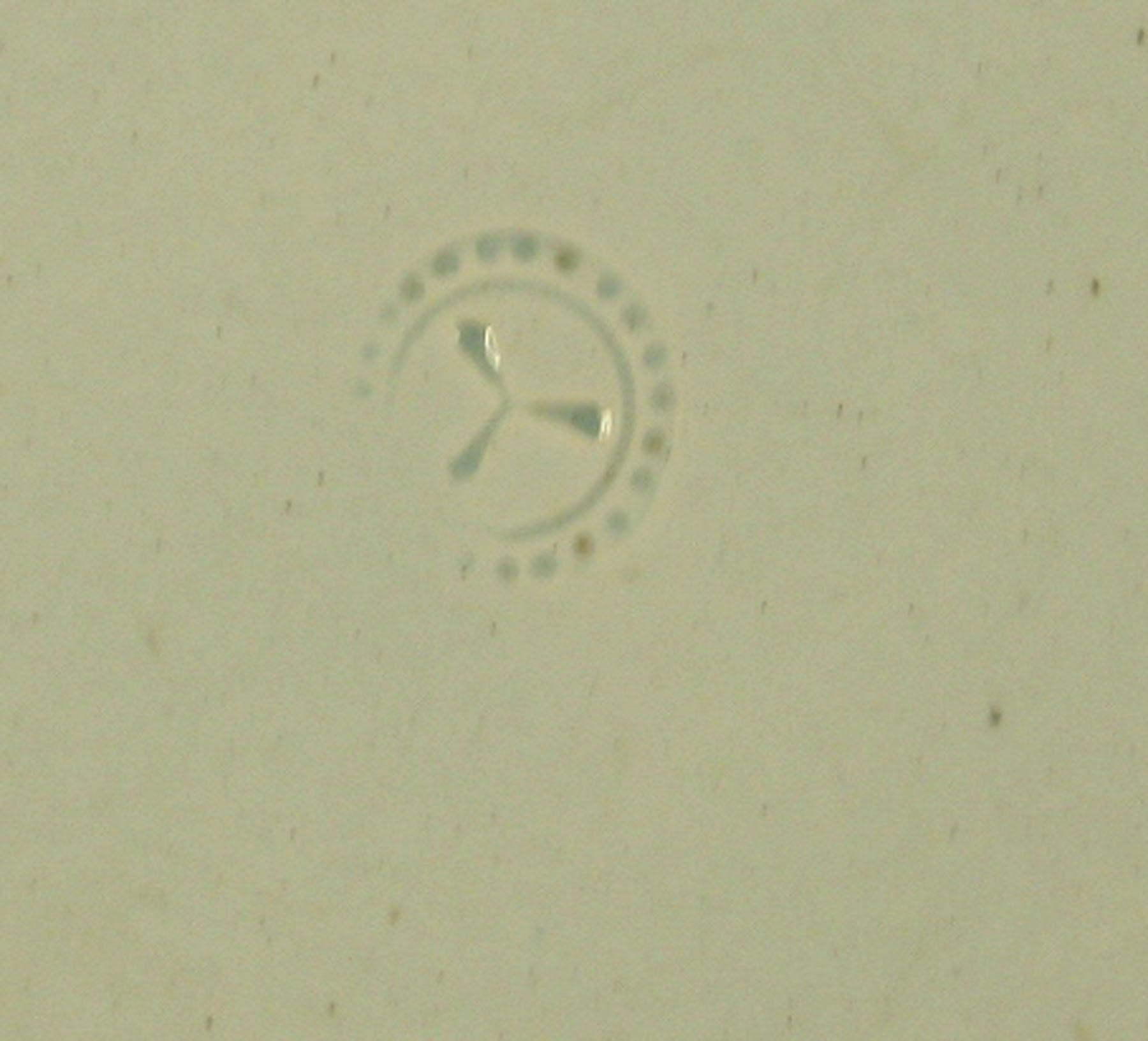 1969.0805 Pearlware soup plate (detail)