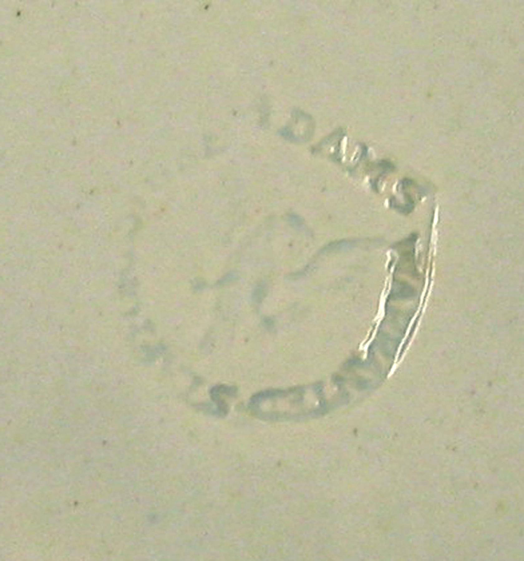 1969.0815.004 Plate (Adams mark)