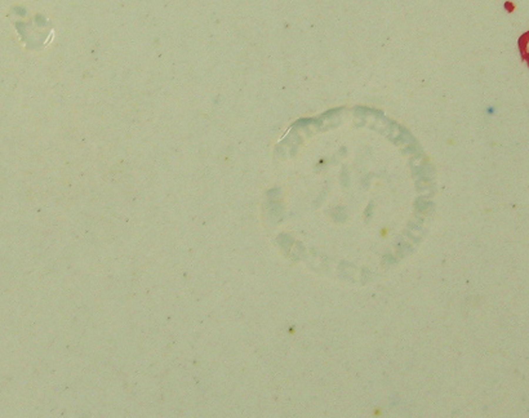 1969.0816.002 Adams pearlware plate (detail)