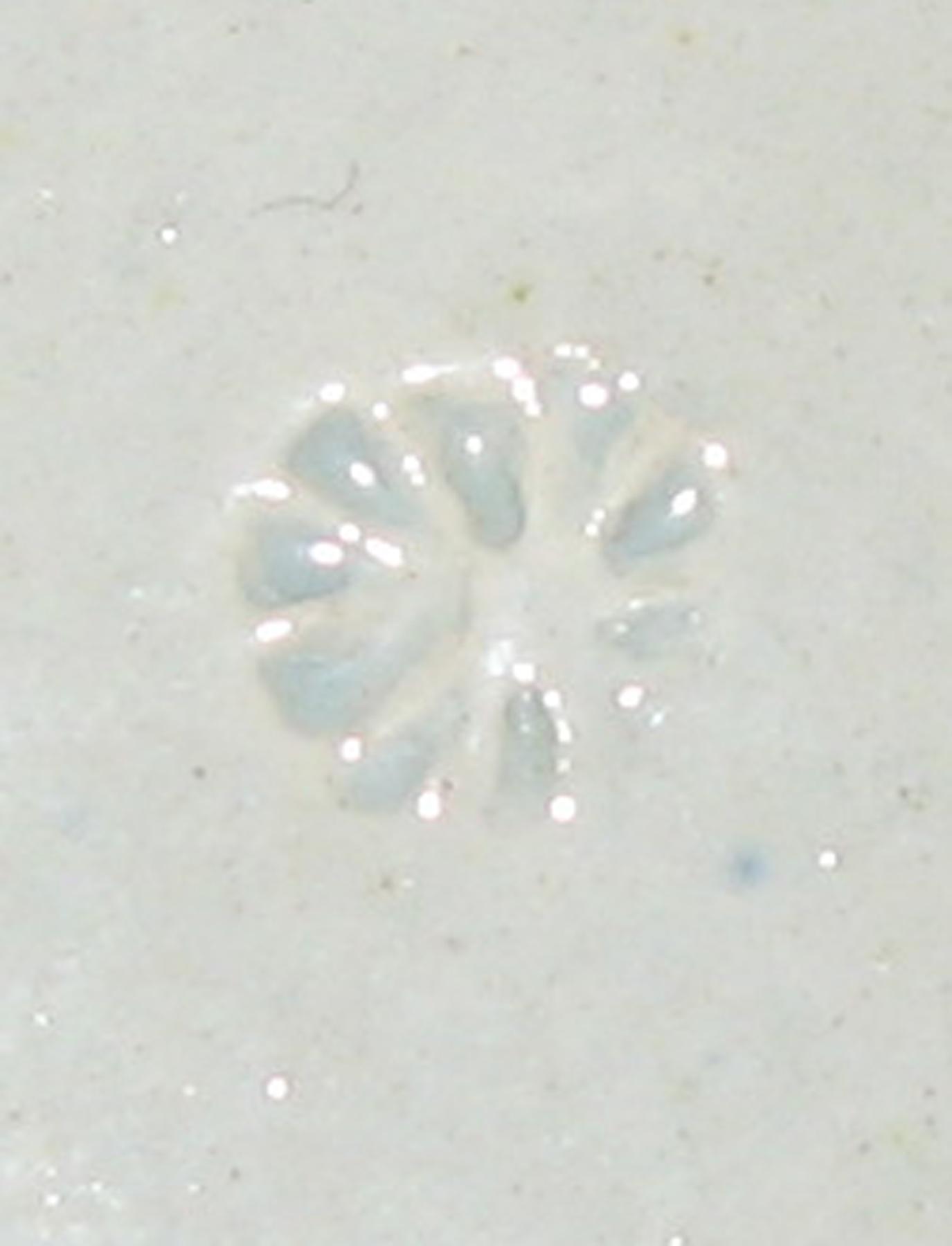 1969.0859 Plate (mark)