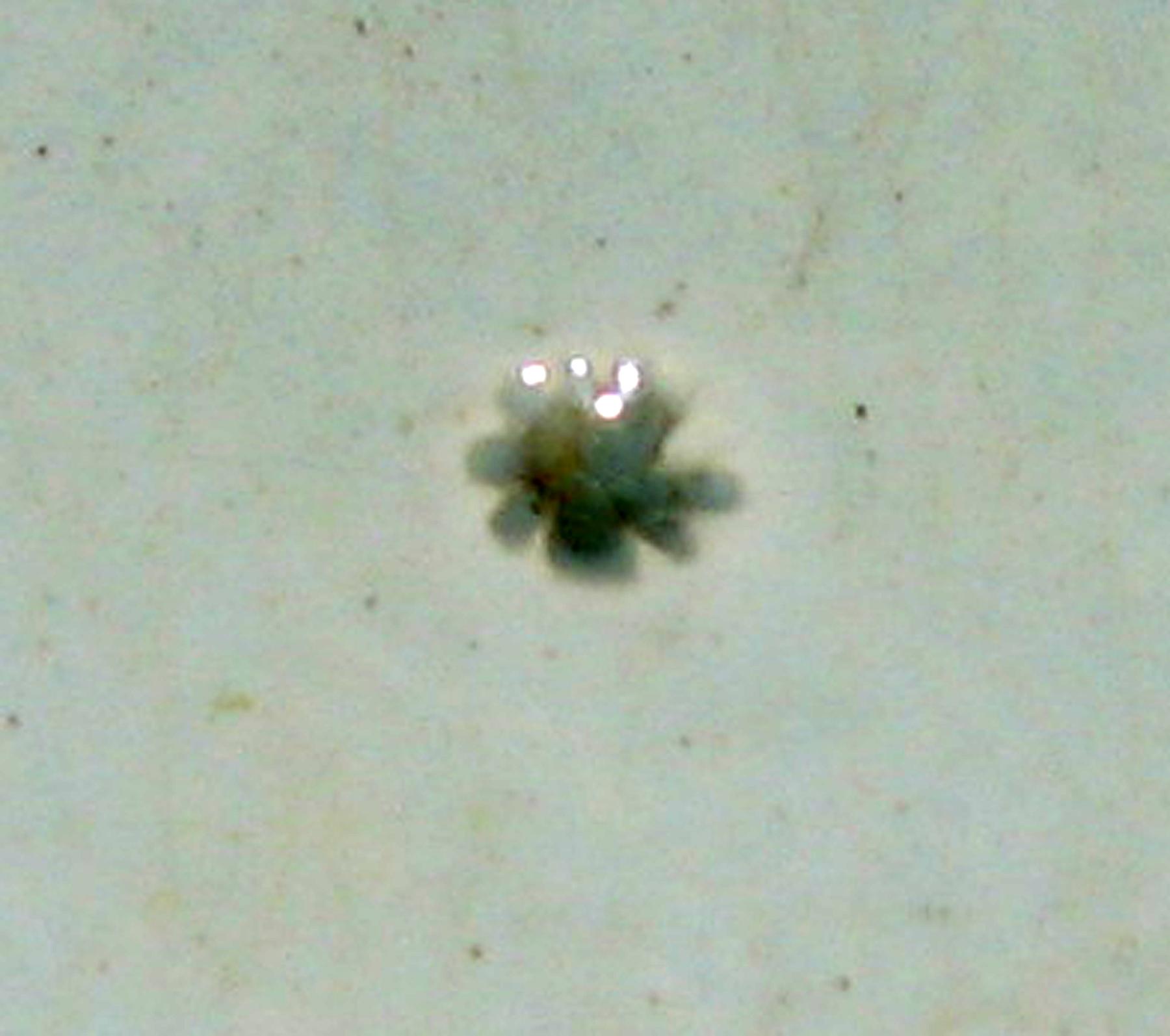 1969.0860 Plate (mark)