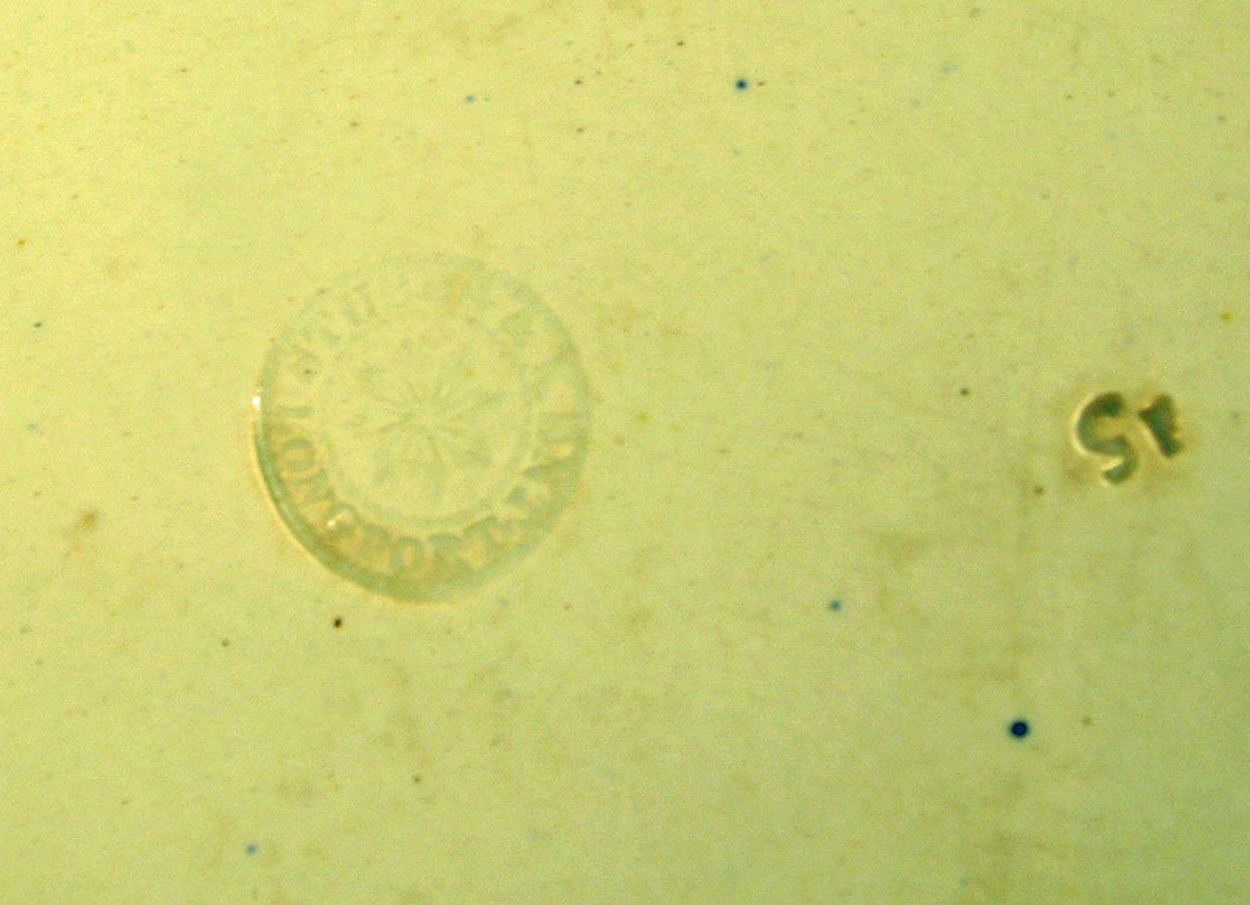 1969.0874.002 Stubbs & Kent pearlware dish (detail)