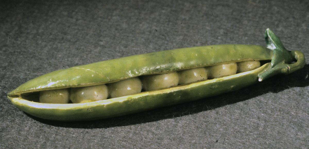 1969.0945 Pea pod figure
