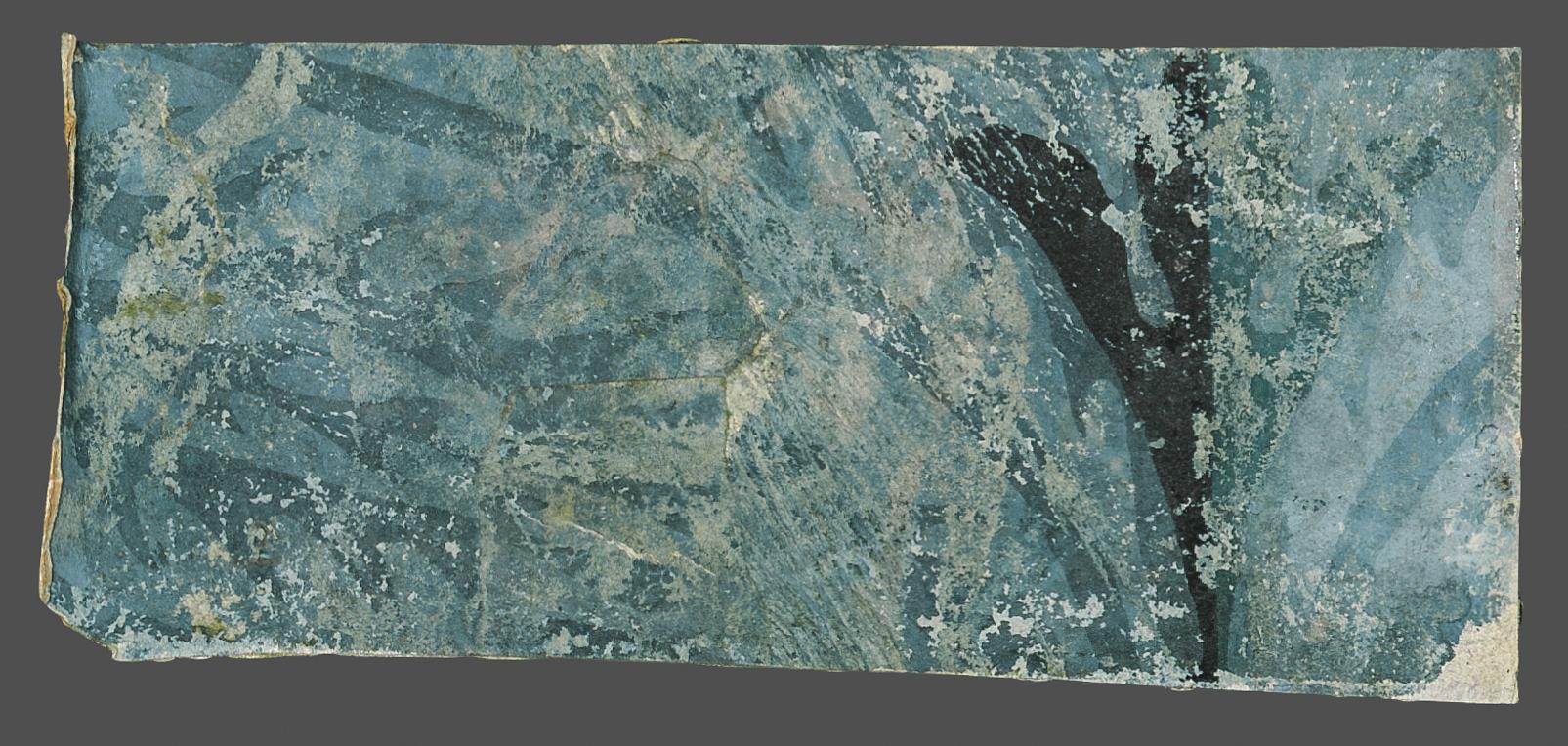 1969.1082.003 G Wall covering, view 1