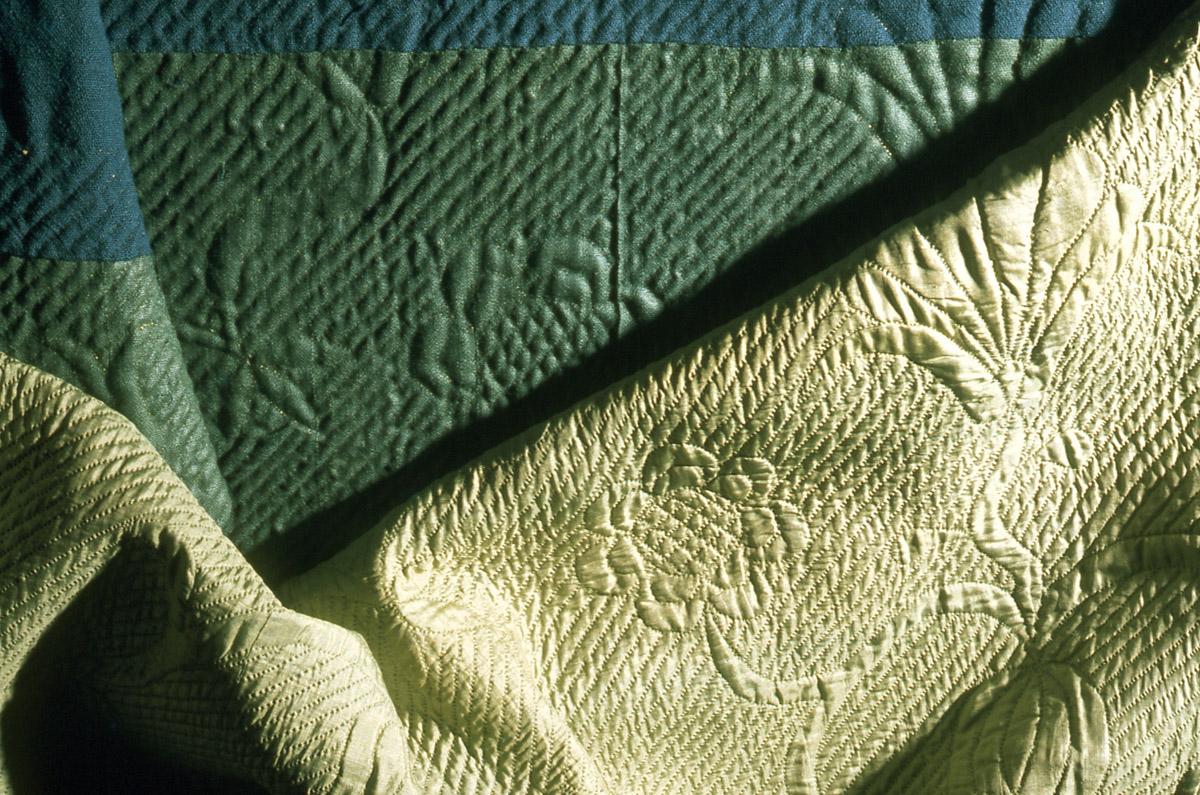 1969.1110 Petticoat detail