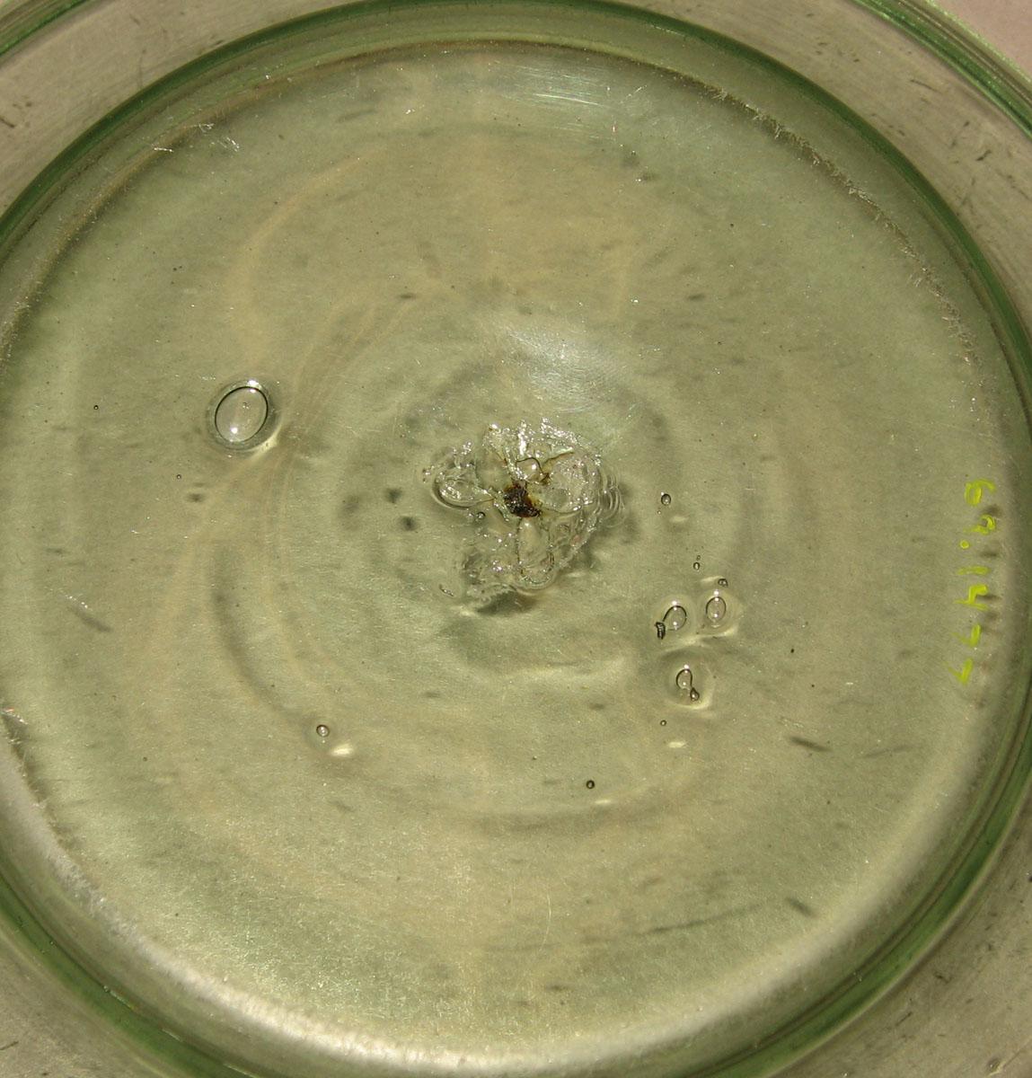 1969.1477 Glass dish (underside)