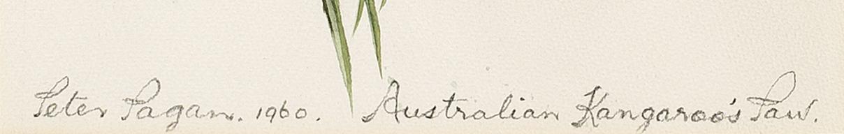 1969.1787 A Watercolor, detail 1