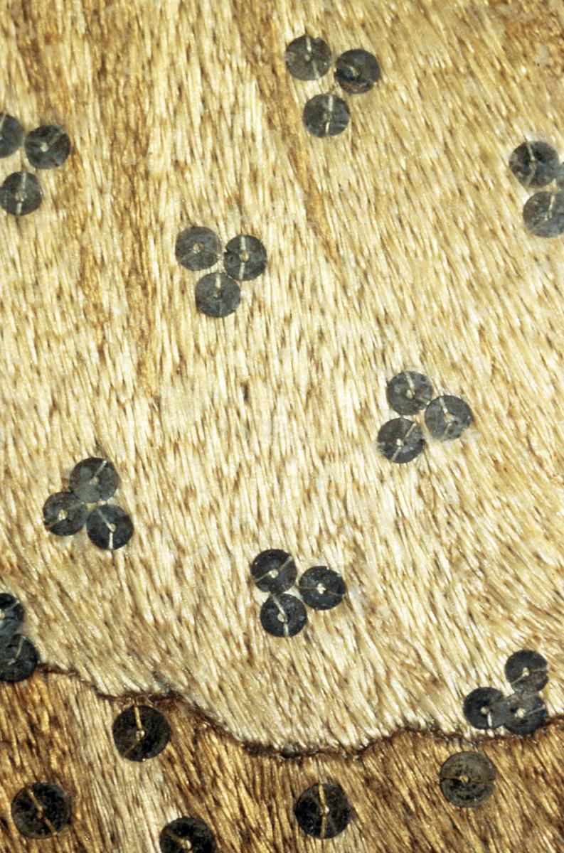 1969.1790 A Needlework Picture, Detail