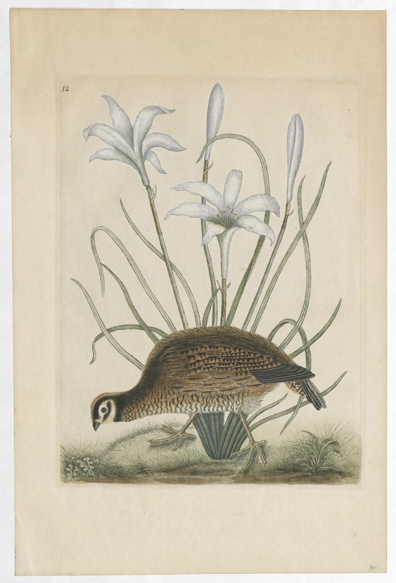 1969.1939 A Print