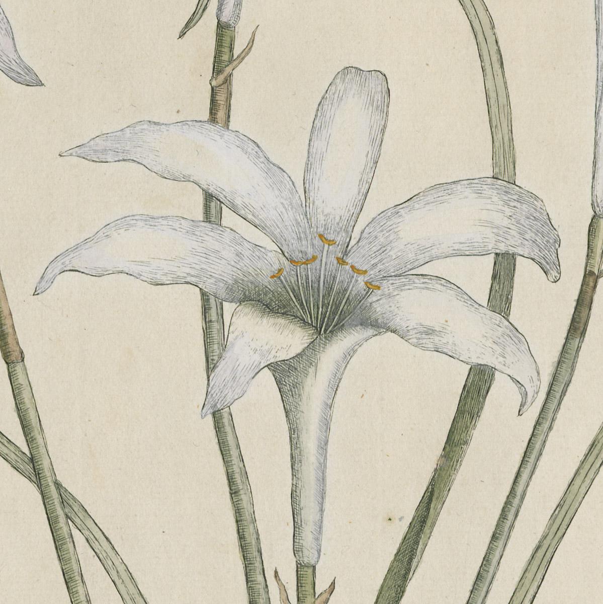 1969.1939 A Print, detail 5