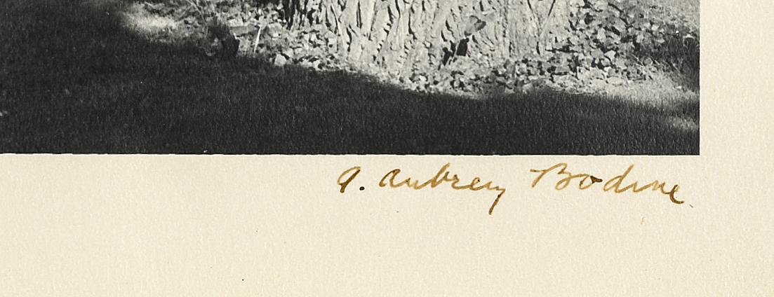 1969.1952 A Photograph, detail 1