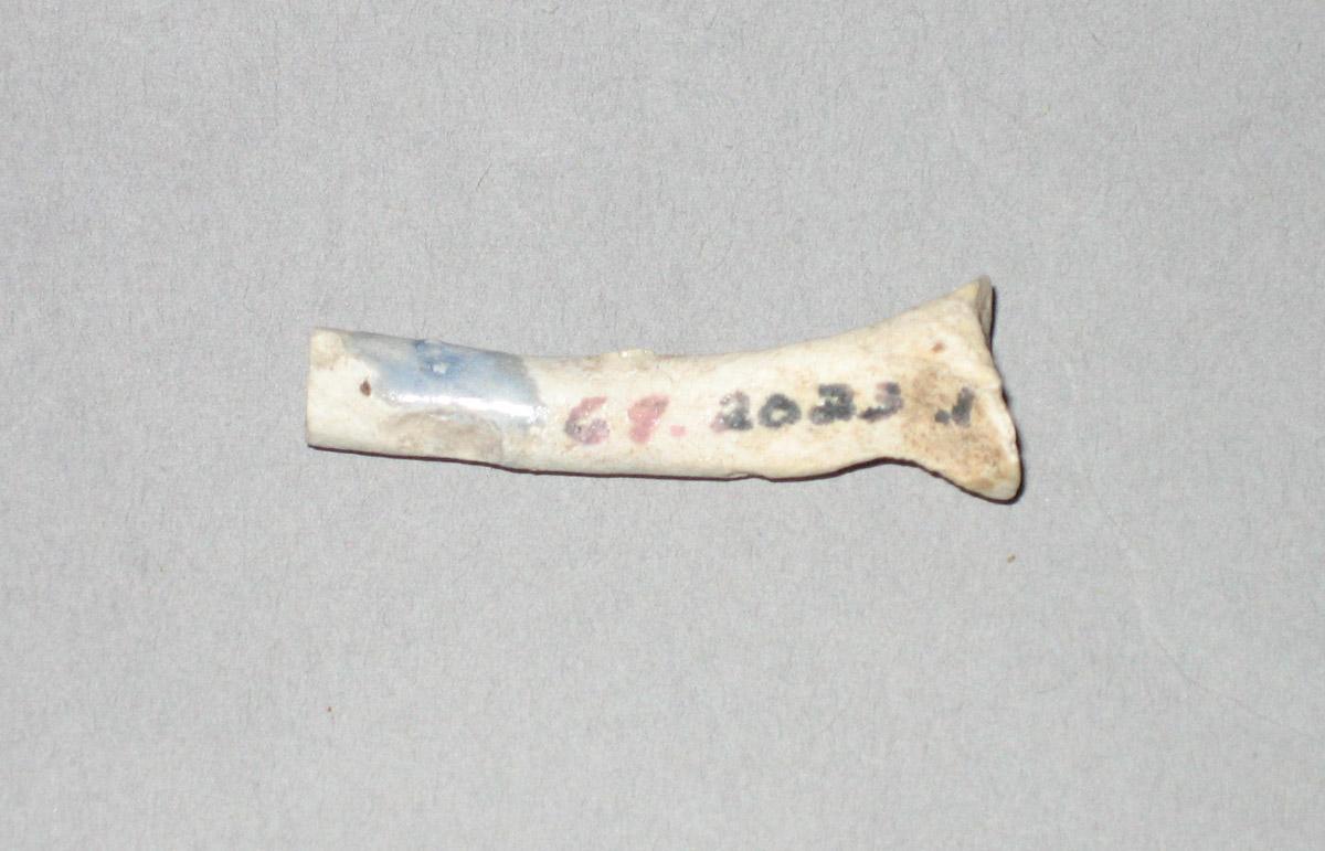 1969.2023.001 Ceramic fragment