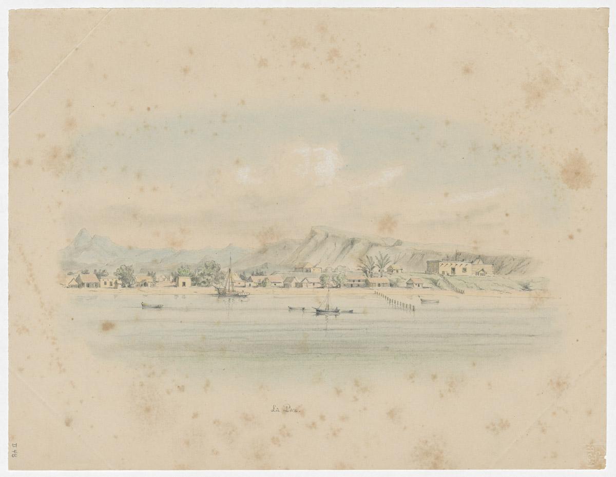 1969.2737 Drawing