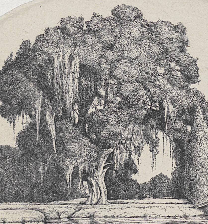 1969.2752 Print, Detail 2