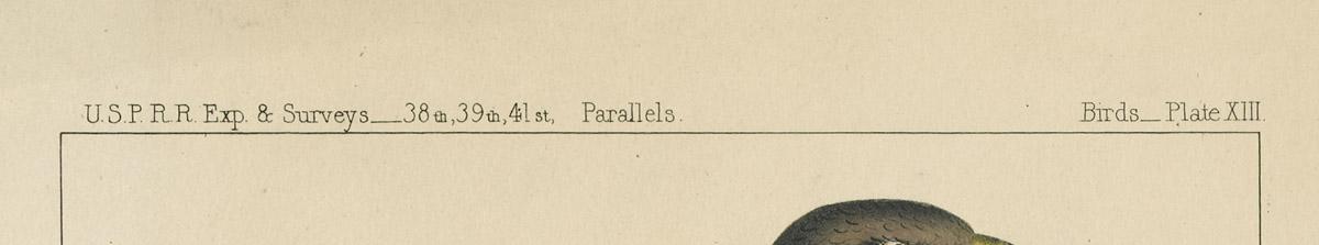 1969.2758 Print, detail 1