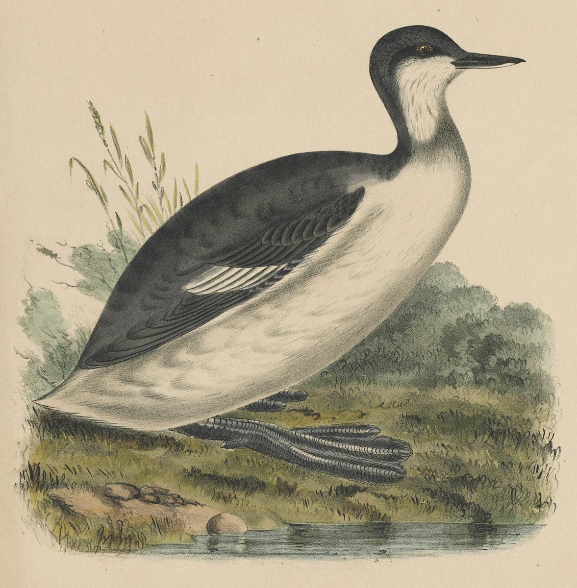 1969.2759 Print, image