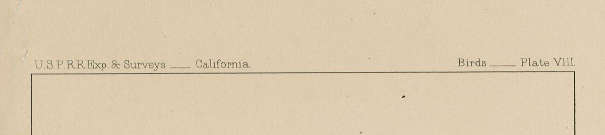 1969.2759 Print, detail
