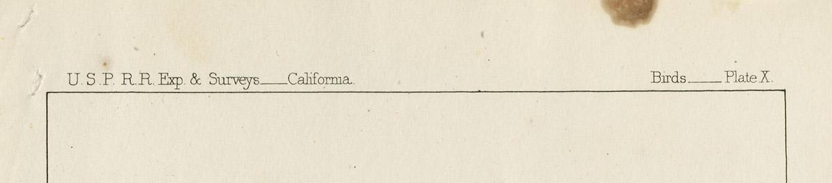 1969.2760 Print, detail 1