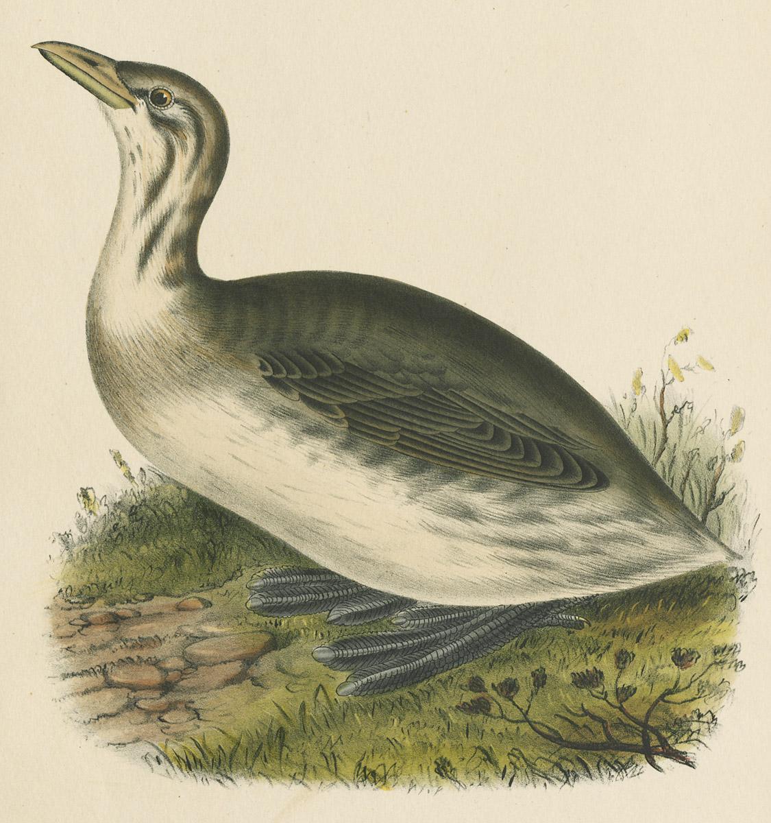 1969.2761 Print, image