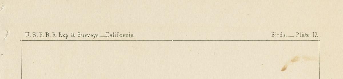 1969.2761 Print, detail