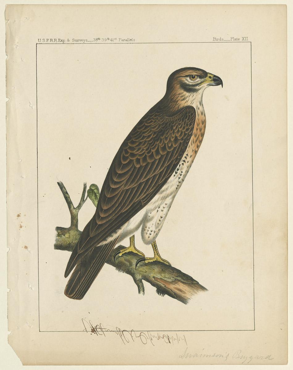 1969.2762 Print