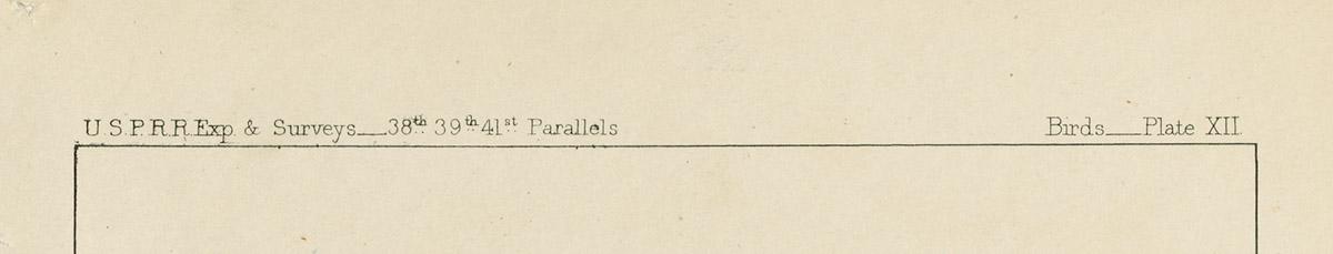 1969.2762 Print, detail 1