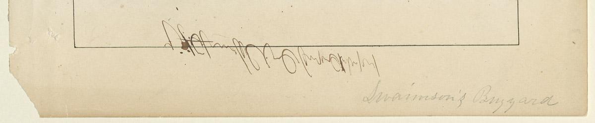 1969.2762 Print, detail 2