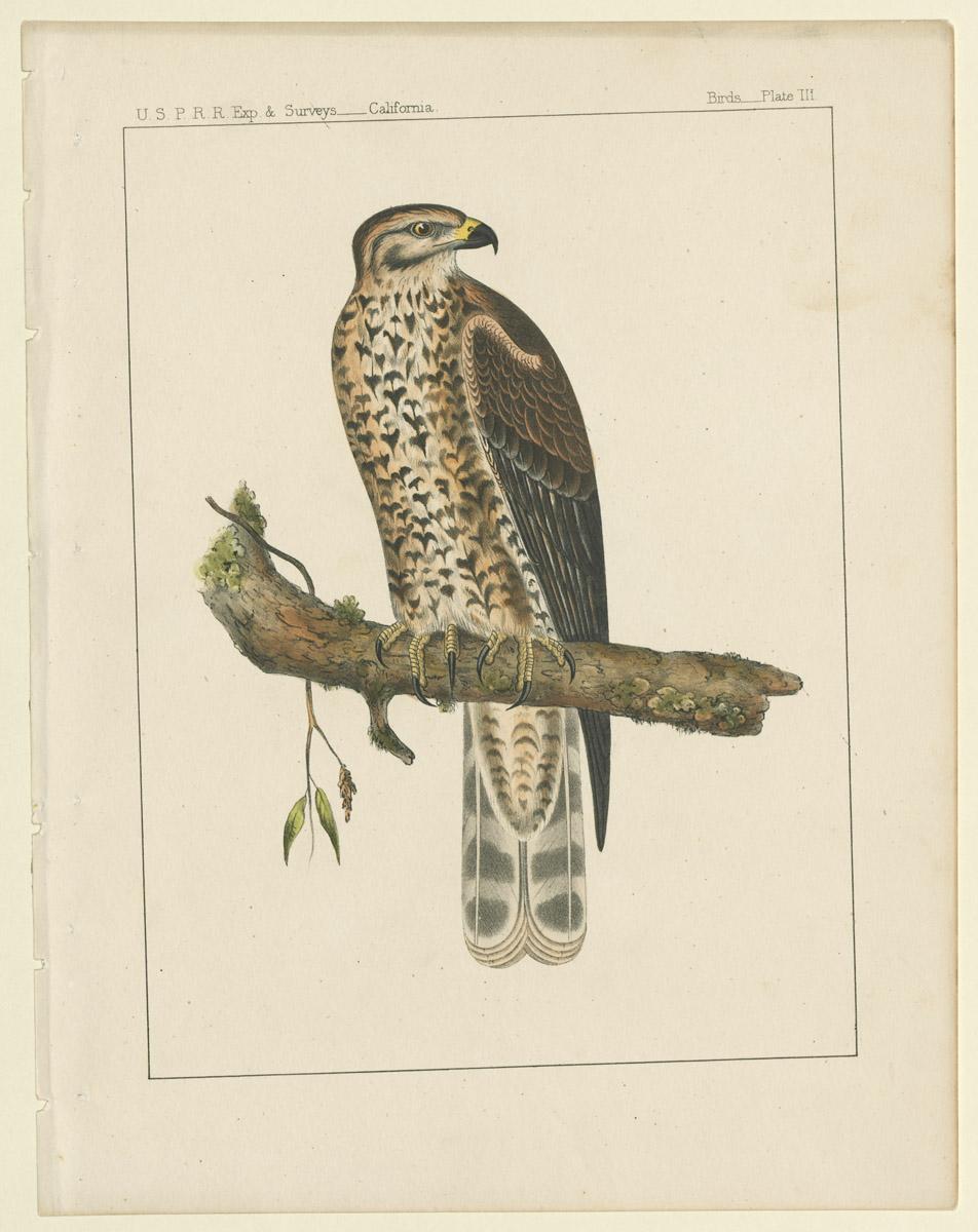 1969.2763 Print