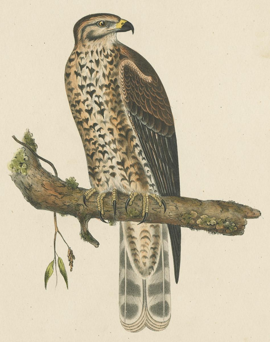 1969.2763 Print, image
