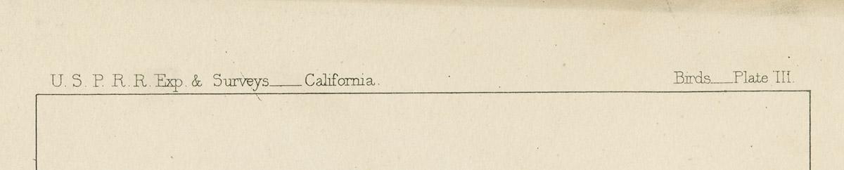 1969.2763 Print, detail