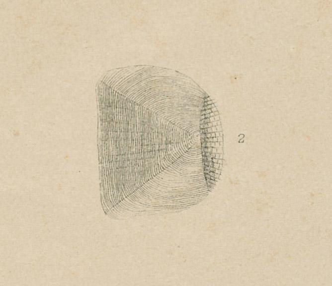 1969.2764 Print, detail 2
