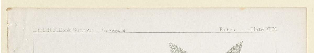 1969.2765 Print, detail 1