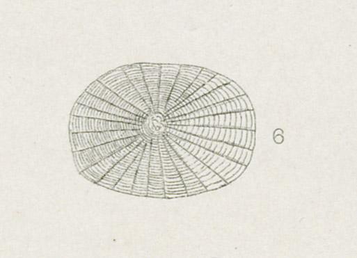 1969.2765 Print, detail 5
