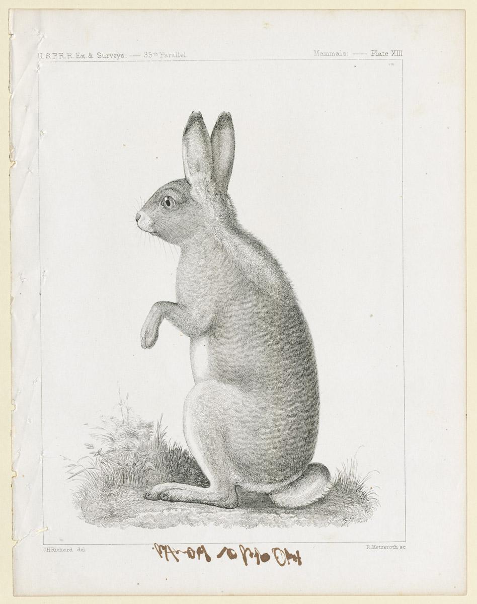 1969.2766 Print