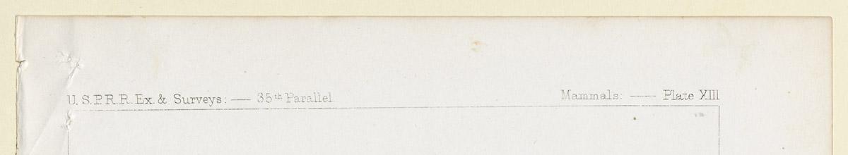 1969.2766 Print, detail 1